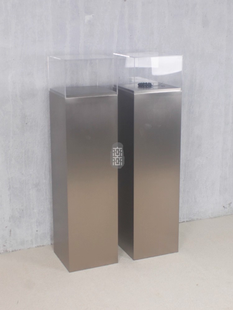 Stainless Steel Clothing Displ - Jewelry Watches Brands recensie en prijs